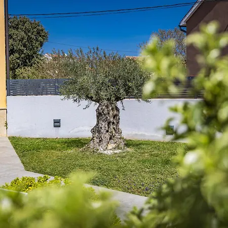 Villa Tramontana Near Pula For 6 Persons With 30m2 Private Pool *