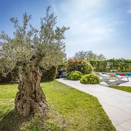 Tramontana Near Pula For 6 Persons With 30m2 Private Pool